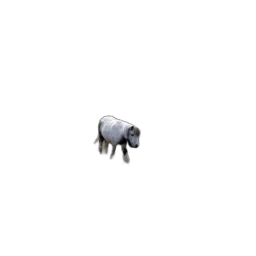 animal, creature, robot, dragon, pixel art, concept art, 3d render, photorealistic transparent PNG cut-out