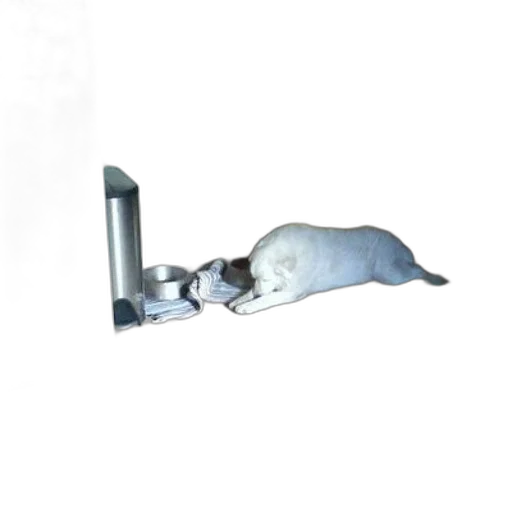 staff, jewelry, animal, weapon, 3d render, white, dog, laying transparent PNG cut-out