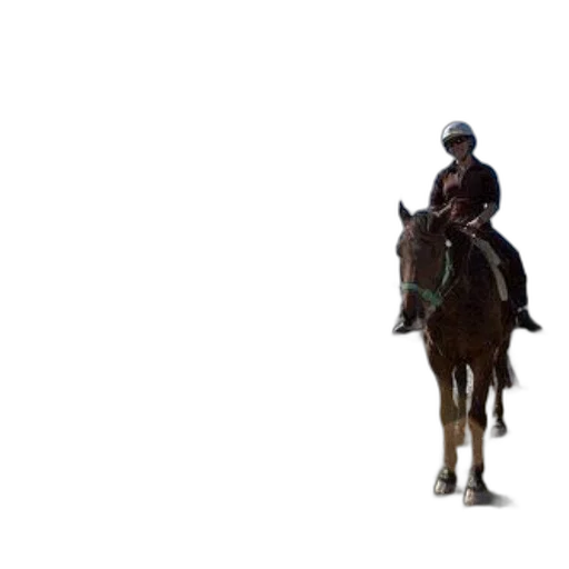 animal, hat, staff, jacket, concept art, photorealistic, pixel art, 3d render transparent PNG cut-out