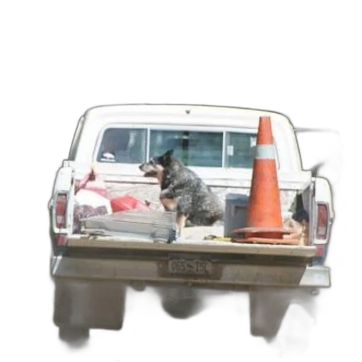 car, staff, animal, robot, 3d render, photorealistic, concept art, dog transparent PNG cut-out