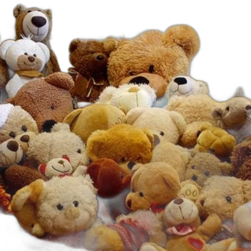 animal, large, collection, teddy, bears, various, sizes, colors transparent PNG cut-out