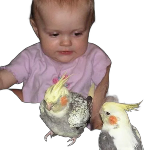 animal, creature, food, face, photorealistic, 3d render, fire, baby transparent PNG cut-out