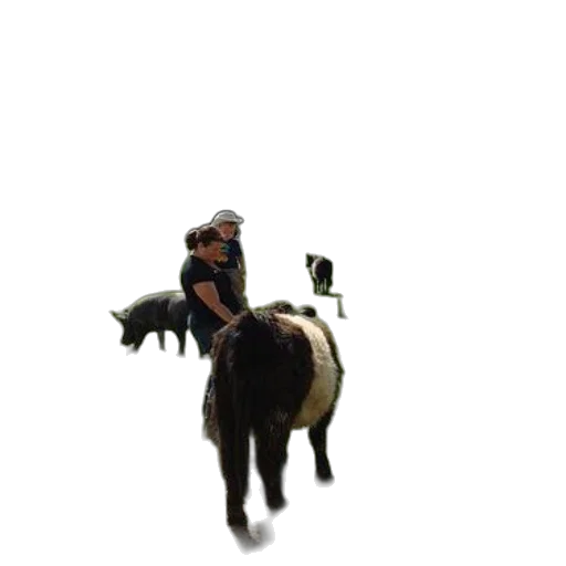 animal, creature, staff, concept art, 3d render, pixel art, photorealistic, woman transparent PNG cut-out
