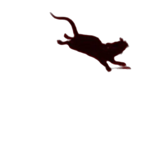 animal, creature, dragon, hat, concept art, pixel art, photorealistic, book transparent PNG cut-out