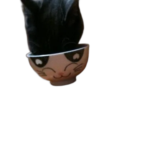 mask, hat, face, animal, 3d render, photorealistic, anime, concept art transparent PNG cut-out