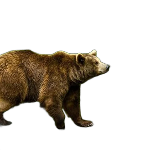 animal, creature, staff, concept art, 3d render, photorealistic, brown, bear transparent PNG cut-out