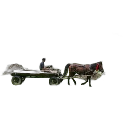 furniture, car, staff, weapon, snow, horse-drawn, cart, grassy transparent PNG cut-out