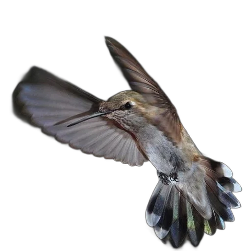animal, staff, creature, weapon, photorealistic, 3d render, oil painting, concept art transparent PNG cut-out