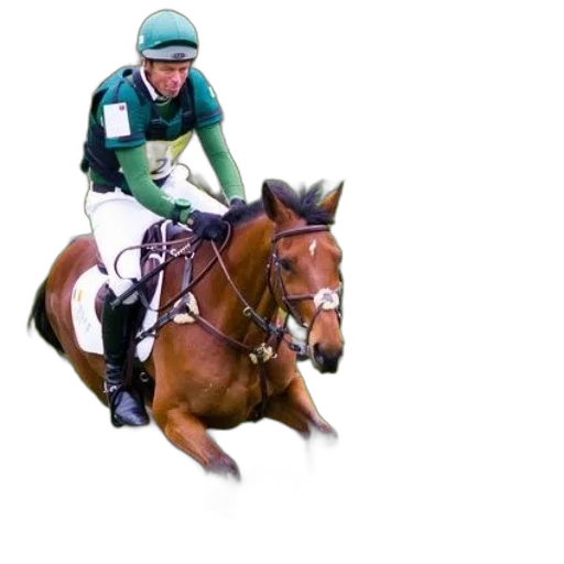 animal, photorealistic, rider, green transparent PNG cut-out
