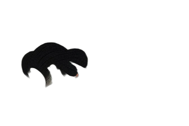 hair, hat, animal, mask transparent PNG cut-out