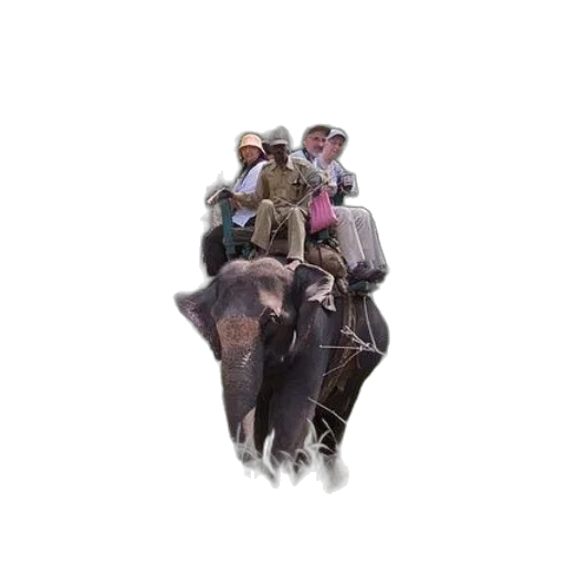 hat, animal, jacket, staff, concept art, photorealistic, pixel art, fantasy art transparent PNG cut-out