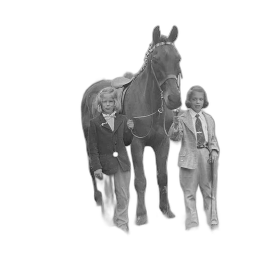 animal, staff, creature, jacket transparent PNG cut-out