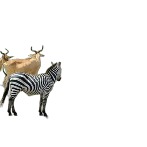 animal, jewelry, creature, crown, 3d render, concept art, photorealistic, pixel art transparent PNG cut-out