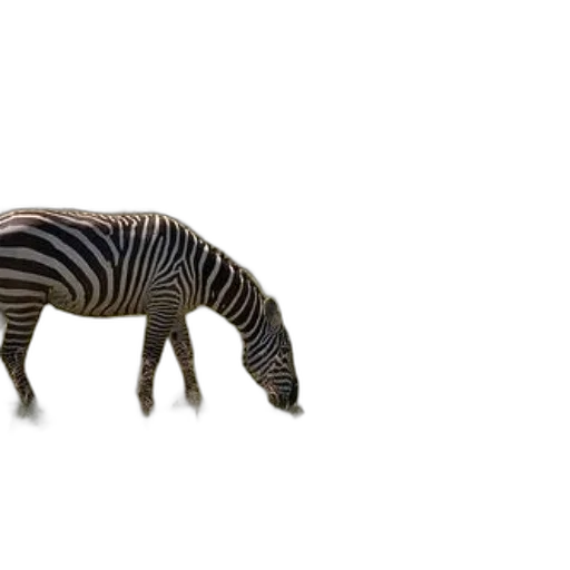 animal, creature, hair, dragon, 3d render, concept art, photorealistic, earth tones transparent PNG cut-out