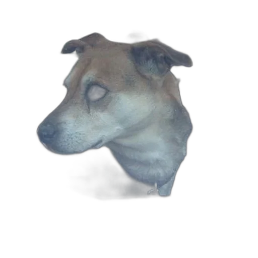 animal, creature, face, staff, photorealistic, 3d render, concept art, watercolor transparent PNG cut-out