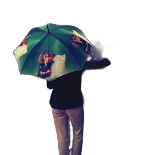 umbrella, jacket, staff, hat, 3d render, photorealistic, concept art, pixel art transparent PNG cut-out