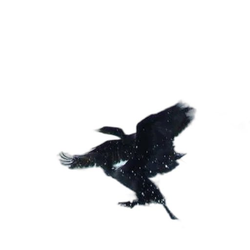 dragon, animal, staff, creature, 3d render, photorealistic, concept art, oil painting transparent PNG cut-out