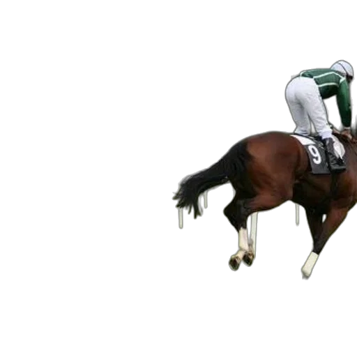 animal, creature, photorealistic, 3d render, concept art, jockey, horseback, races transparent PNG cut-out