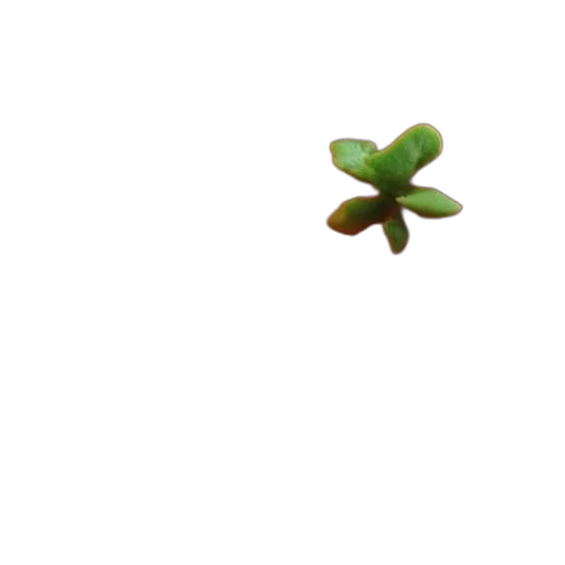 flower, tree, crown, jewelry, 3d render, pixel art, photorealistic, green transparent PNG cut-out