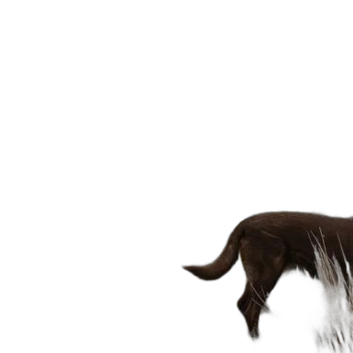 animal, hair, creature, staff, photorealistic, 3d render, concept art, pixel art transparent PNG cut-out