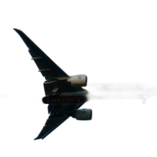staff, dragon, animal, weapon, emirates, airplane, flying, sky transparent PNG cut-out
