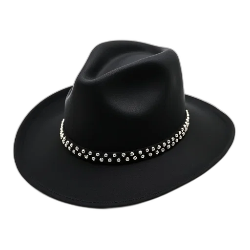 hat, jewelry, crown, black, fedora, wide, brim, pinched transparent PNG cut-out
