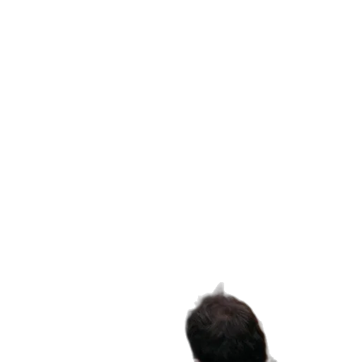 hair, staff, face, hat, 3d render, photorealistic, pixel art, concept art transparent PNG cut-out