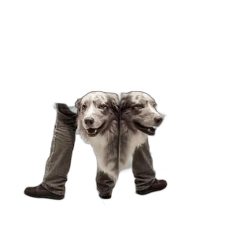 animal, shoes, creature, staff, 3d render, concept art, photorealistic, playful transparent PNG cut-out