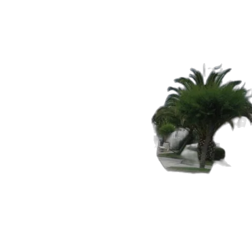 tree, hat, creature, hair, 3d render, photorealistic, concept art, pixel art transparent PNG cut-out