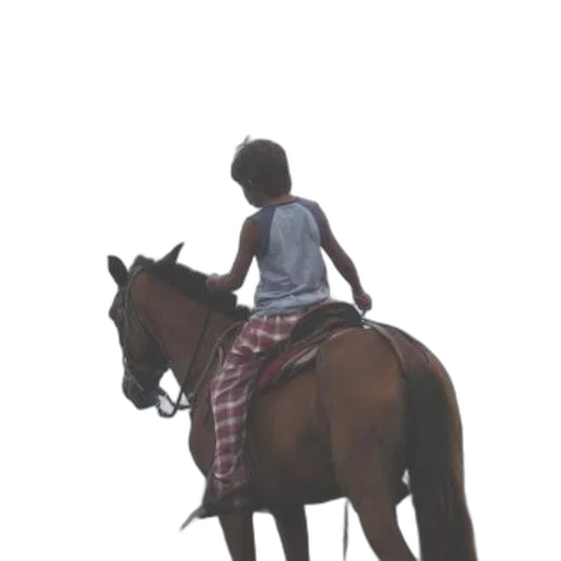 animal, jacket, dress, photorealistic, concept art, oil painting, pixel art, forest transparent PNG cut-out