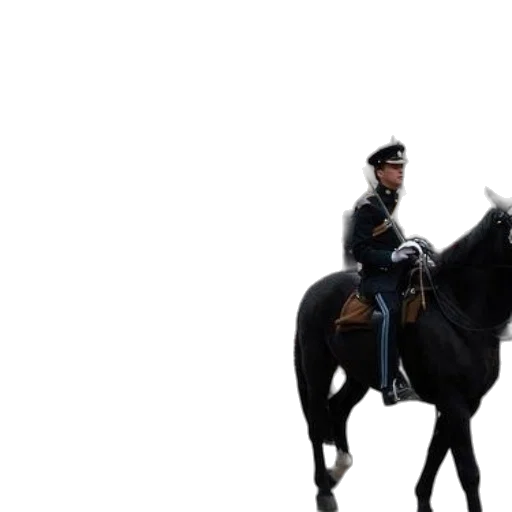 staff, hat, animal, sword, concept art, group, mounted, police transparent PNG cut-out