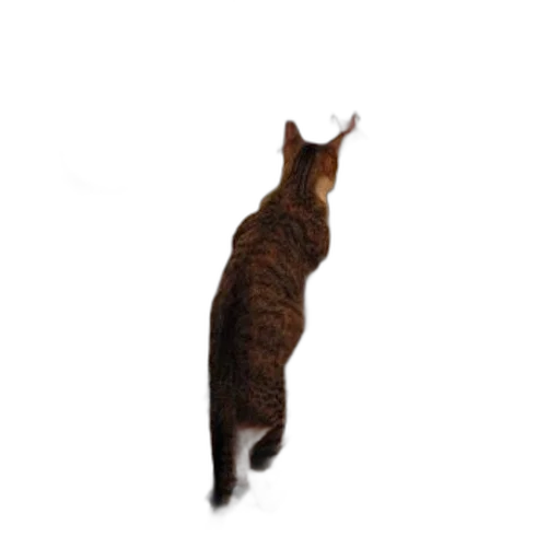 animal, staff, hair, creature, photorealistic, 3d render, concept art, pixel art transparent PNG cut-out