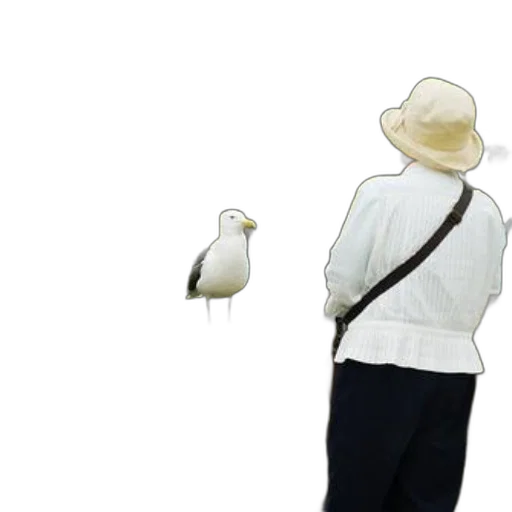 hat, jacket, staff, animal, concept art, 3d render, photorealistic, pixel art transparent PNG cut-out