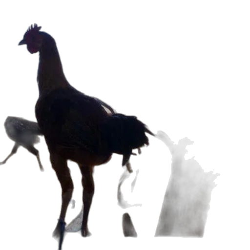animal, creature, staff, dragon, concept art, 3d render, photorealistic, fantasy art transparent PNG cut-out
