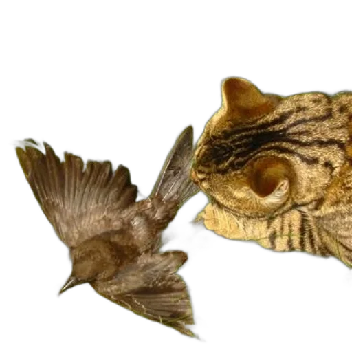 animal, dragon, mask, creature, photorealistic, concept art, 3d render, underwater transparent PNG cut-out