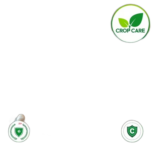 green, close-up, image, colorful, multicolored, seed, mixture, various transparent PNG cut-out