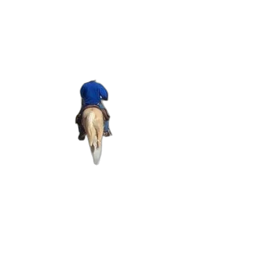 hat, animal, umbrella, creature, pixel art, 3d render, person, rides transparent PNG cut-out