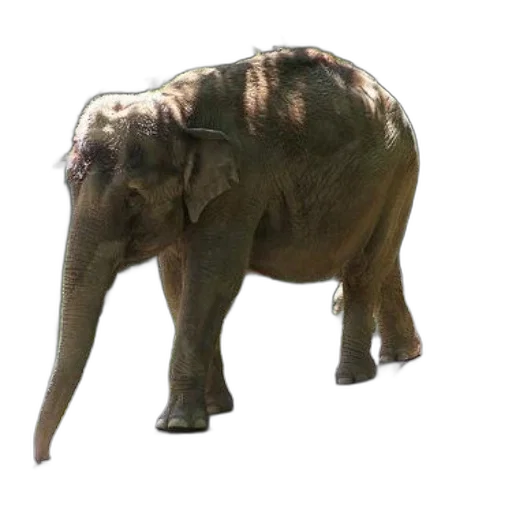animal, creature, staff, weapon, 3d render, photorealistic, concept art, large transparent PNG cut-out
