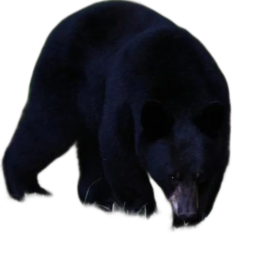 animal, creature, staff, face, concept art, 3d render, photorealistic, pixel art transparent PNG cut-out