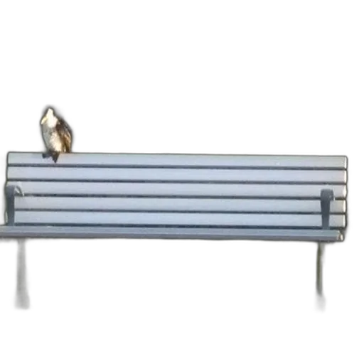 furniture, jewelry, staff, weapon, 3d render, bird, perches, back transparent PNG cut-out