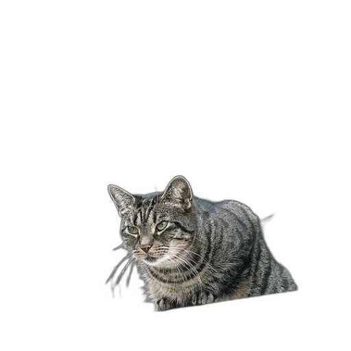 animal, creature, staff, face, photorealistic, 3d render, pixel art, concept art transparent PNG cut-out
