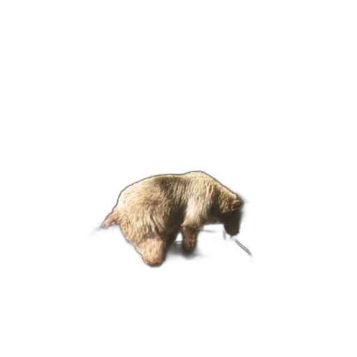 animal, creature, hair, food, 3d render, concept art, pixel art, photorealistic transparent PNG cut-out
