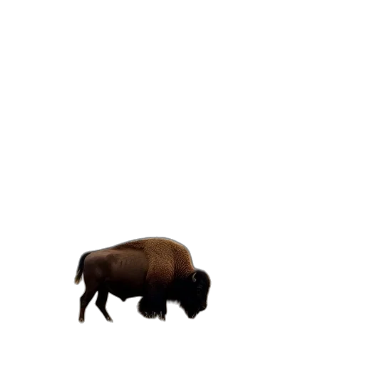 animal, creature, hair, weapon, pixel art, concept art, 3d render, photorealistic transparent PNG cut-out