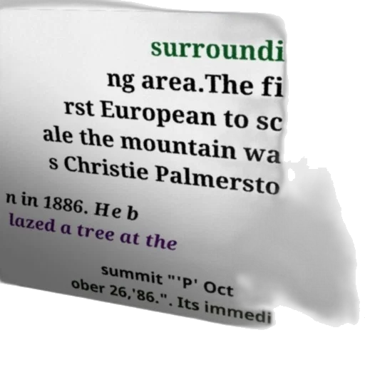 tree, furniture, forest, image, shows, text, about, first transparent PNG cut-out