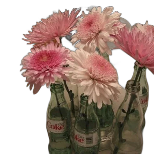 bottle, flower, jacket, crown, photorealistic, 3d render, oil painting, watercolor transparent PNG cut-out