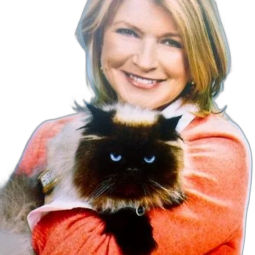 animal, creature, woman, orange, sweater, holds, fluffy, cat transparent PNG cut-out