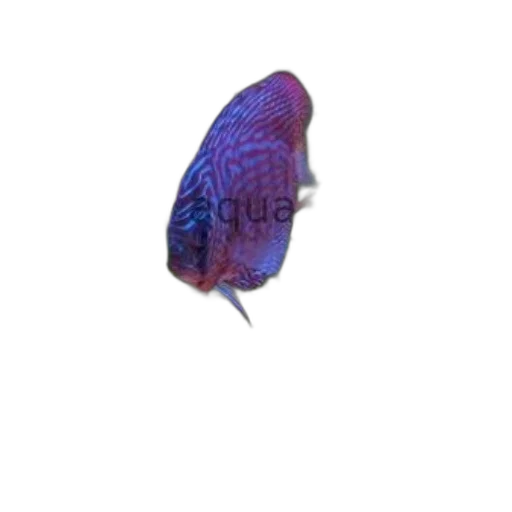 animal, creature, jewelry, staff, photorealistic, 3d render, vaporwave, concept art transparent PNG cut-out