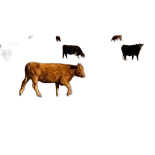 animal, food, concept art, photorealistic, 3d render, pixel art, fog, snow transparent PNG cut-out