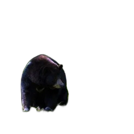 animal, mask, creature, hat, 3d render, photorealistic, concept art, pixel art transparent PNG cut-out