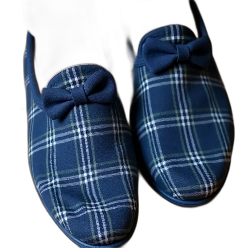 shoes, hat, umbrella, dress, 3d render, photorealistic, blue, plaid transparent PNG cut-out